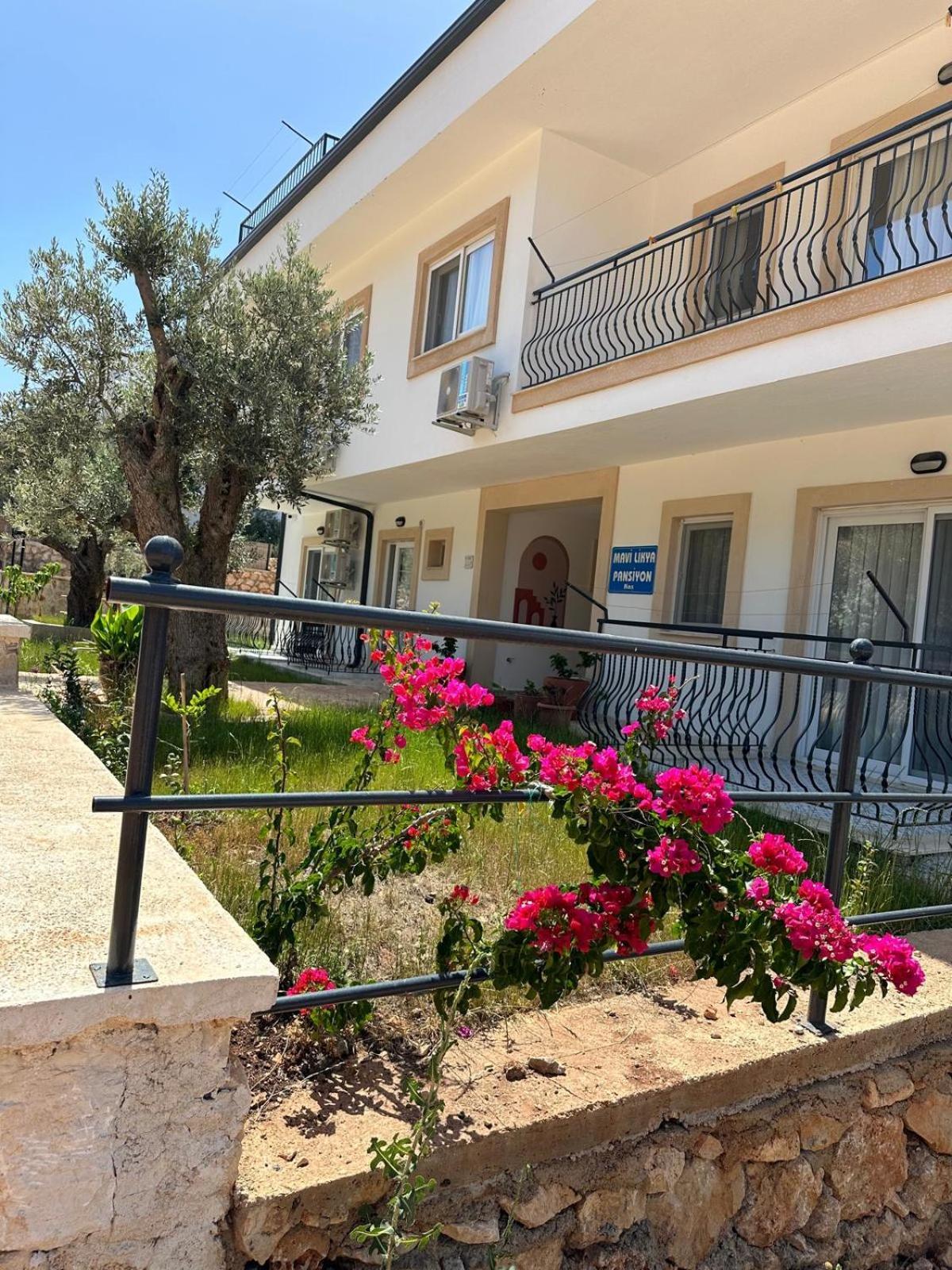 Apartment Likya